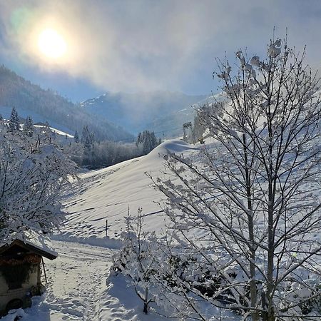 Ferienwohnungen Lehenhof Alpbach Exteriör bild