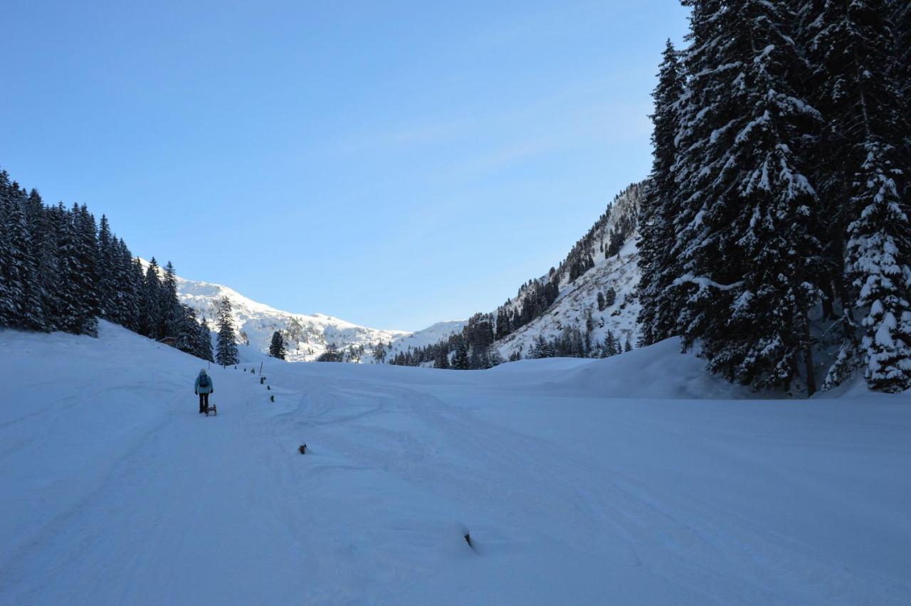 Ferienwohnungen Lehenhof Alpbach Exteriör bild