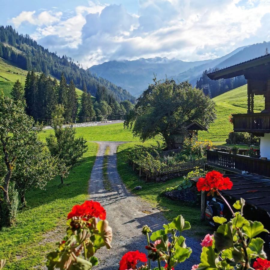Ferienwohnungen Lehenhof Alpbach Exteriör bild