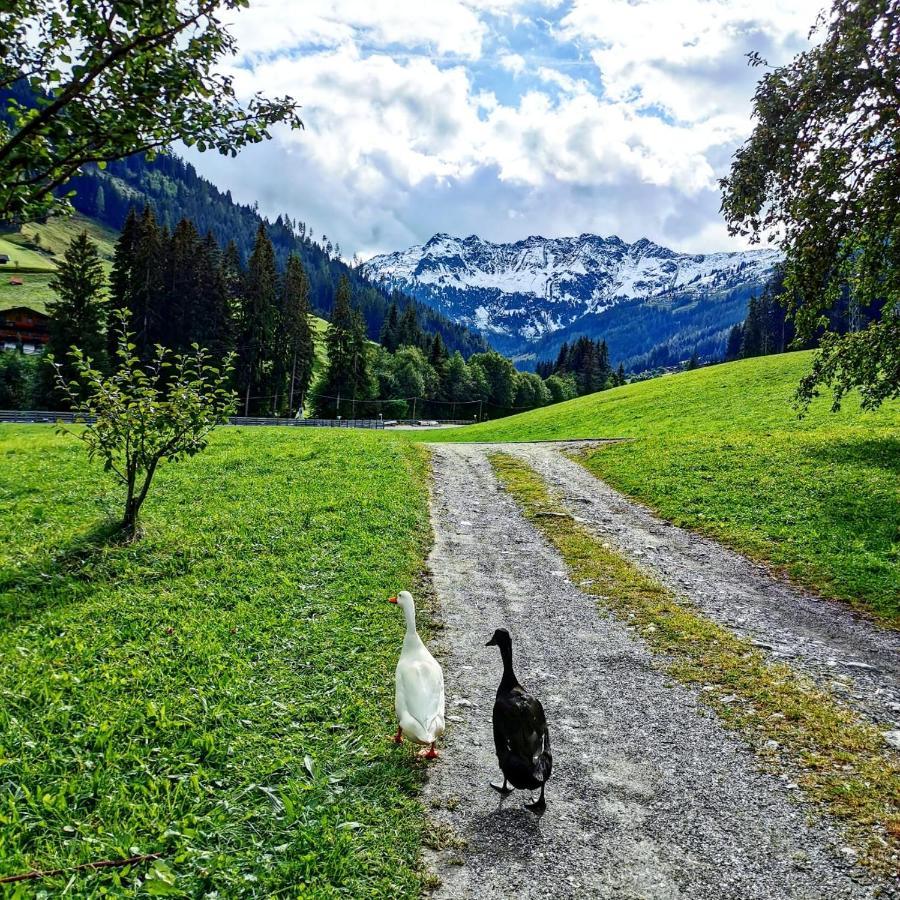 Ferienwohnungen Lehenhof Alpbach Exteriör bild
