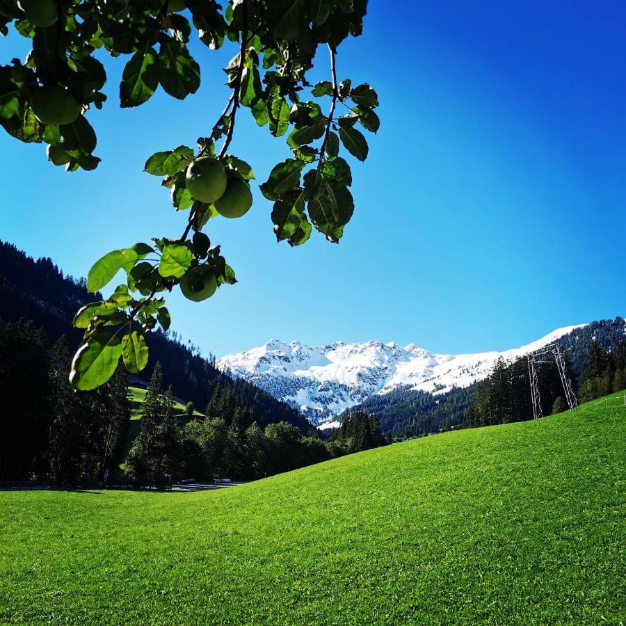 Ferienwohnungen Lehenhof Alpbach Exteriör bild