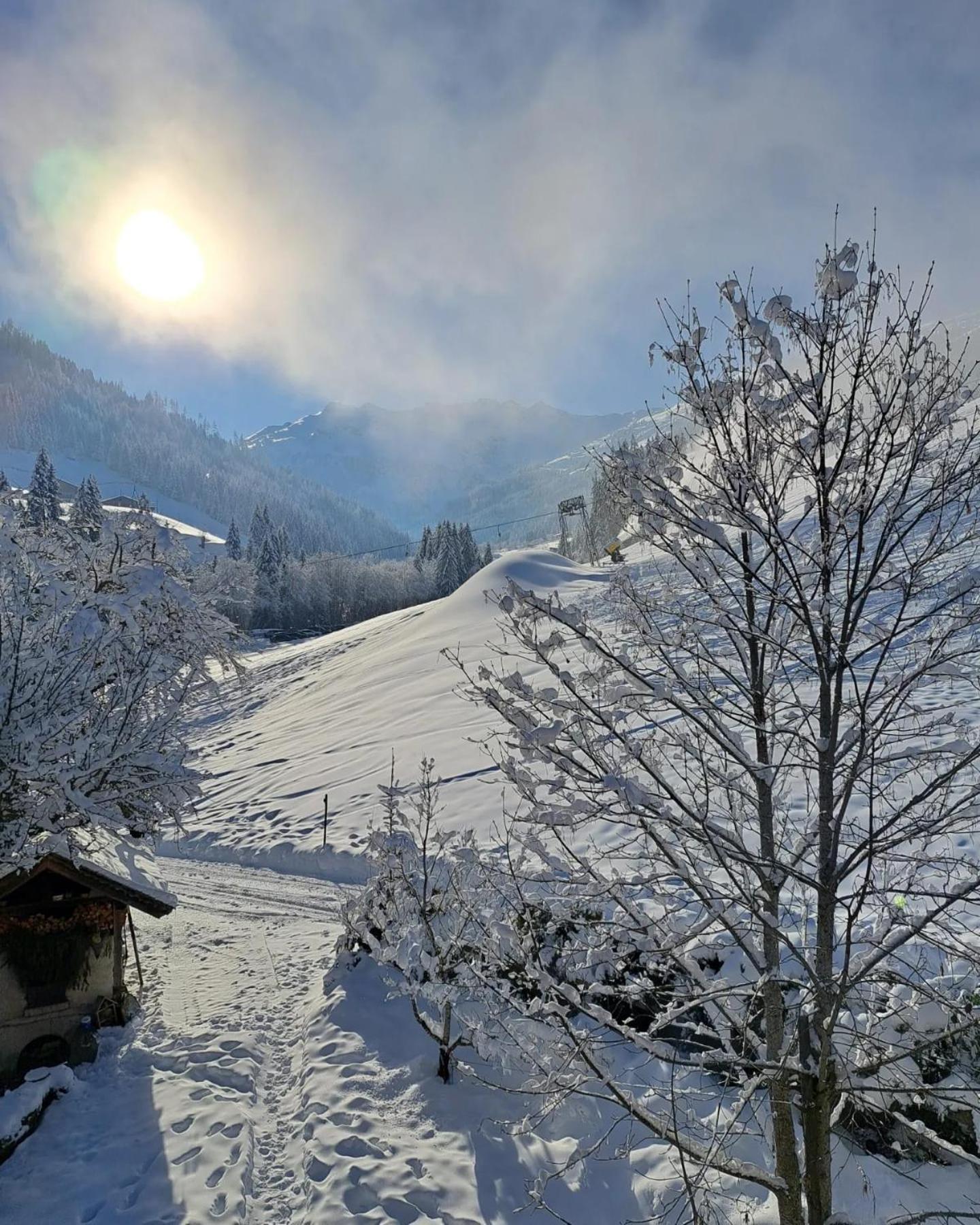 Ferienwohnungen Lehenhof Alpbach Exteriör bild